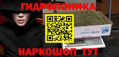 прущие грибы Рязань