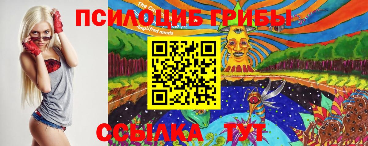 Галлюциногенные грибы Psilocybe Славянск-на-Кубани