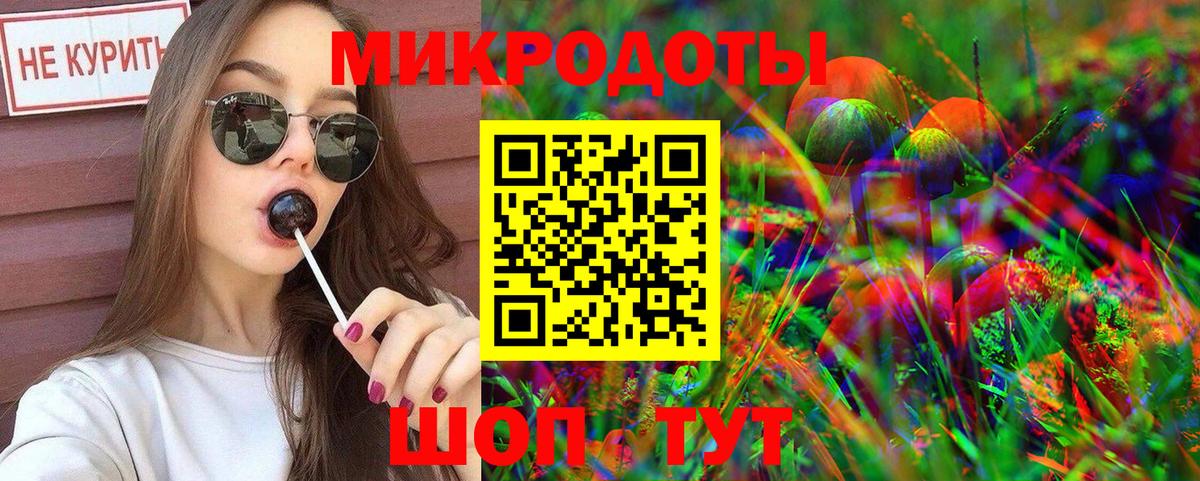 Галлюциногенные грибы Psilocybe Славянск-на-Кубани