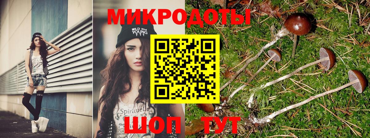 Галлюциногенные грибы Magic Shrooms  Галлюциногенные грибы MAGIC MUSHROOMS  Славянск-на-Кубани  Вход с VPN 